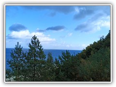 IMG_20211011_134124_1600x901