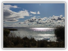 IMG_20211013_122315_1600x720