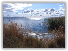 IMG_20211013_122511_1600x901