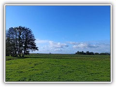 IMG_20211016_124402_1600x901